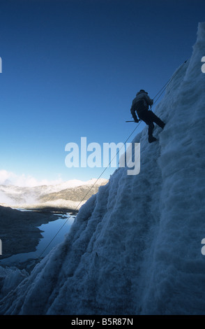 Scalatore che pratica l'arrampicata su ghiaccio e il rapelling sul ghiacciaio, Monte Huayna Potosi, Cordillera Real, Bolivia Foto Stock