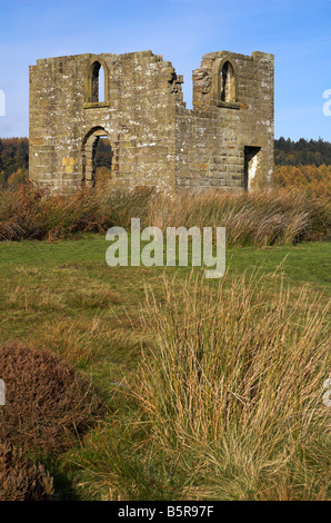 Skelton Tower, Nr Levisham nel North York Moors Foto Stock