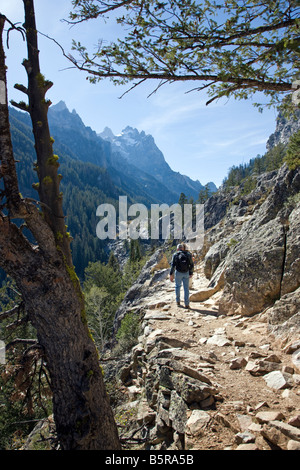 Escursionista/s sul sentiero in cascata Canyon, il Parco Nazionale del Grand Teton,; Wyoming; USA Foto Stock