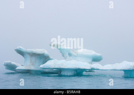 Iceberg galleggianti in Beaufort mare Oceano Artico al largo dell'Arctic National Wildlife Refuge Alaska Foto Stock