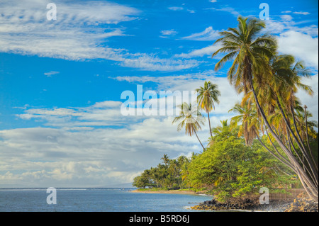 Una vista di Keiki Spiaggia e palme da Front Street in Lahaina, Maui, Hawaii. Foto Stock