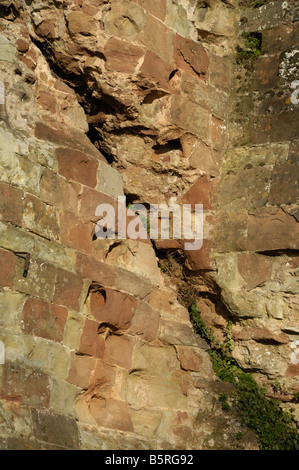 Dettaglio delle rovine del castello di Bridgnorth Foto Stock