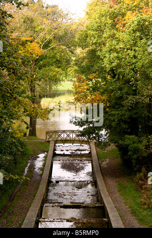 Ponte a cascata e il lago gnoll station wagon country park neath neath port talbot nel Galles del Sud Foto Stock