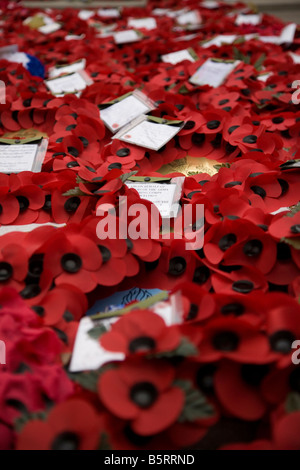 Centinaia di papavero ghirlande prevista presso il Cenotafio Whitehall London Foto Stock