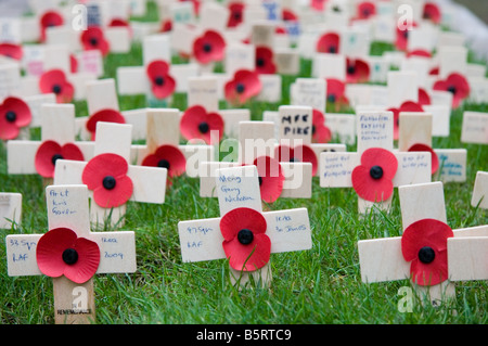 Giorno del Ricordo attraversa con in primo piano alcuni che commemora il personale di servizio ucciso in Iraq: bagno, novembre 2008. Foto Stock