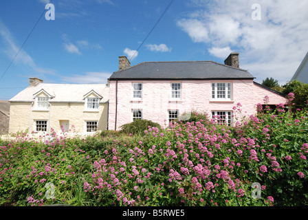 Luce tradizionale dipinto di Welsh cottages in St.Davids, Pembrokeshire, Galles Foto Stock