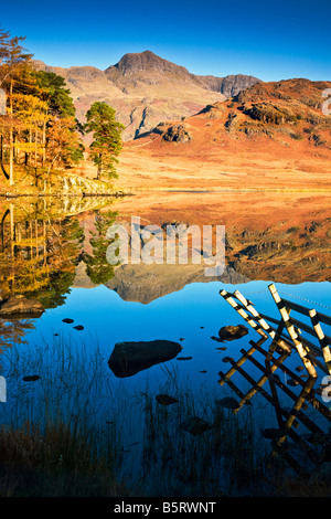 La mattina presto e il sole riflessioni in Blea Tarn su una soleggiata giornata autunnale, Parco Nazionale del Distretto dei Laghi, Cumbria, England, Regno Unito Foto Stock