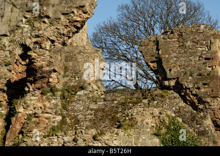 Dettaglio delle rovine del castello di Bridgnorth Foto Stock