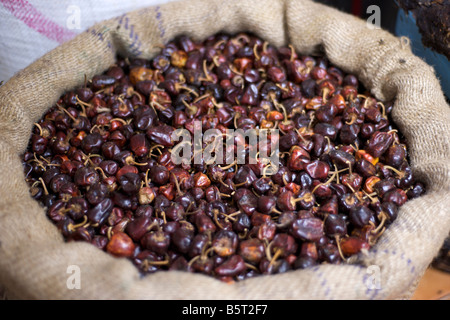 Secchi peperoncino rosso in un mercato di Pondicherry India. Foto Stock