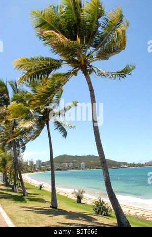 Anse Vata Noumea NUOVA CALEDONIA Foto Stock