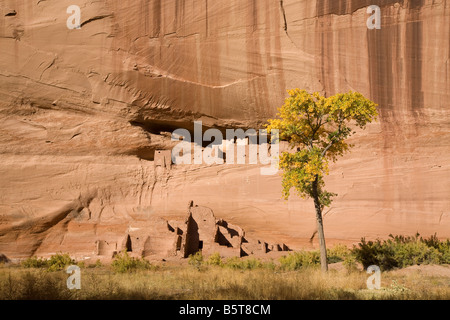 La Casa Bianca, il Canyon De Chelly Riserva Navajo Arizona Foto Stock