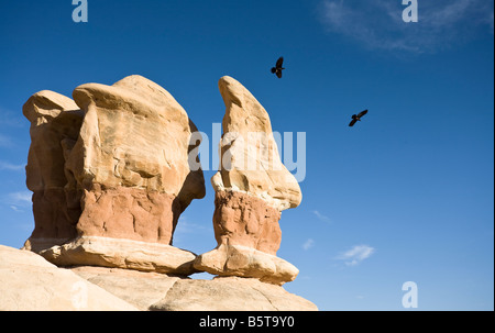 Hoodoos nel Giurassico età Carmel Formation in the Devils Garden, la grande scala Escalante National Monument, Utah, Stati Uniti d'America Foto Stock