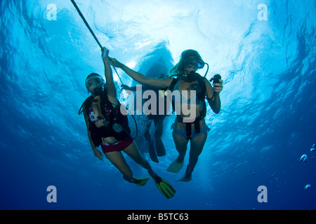 Subacquei facendo un fermo di sicurezza sulla linea di ancoraggio prima affiorante, Hawaii. Foto Stock