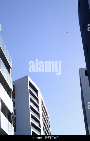 Il centro di Auckland, edificio per uffici Foto Stock