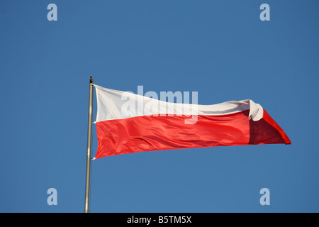 Bandiera polacca sul vento stelle gialle Foto Stock