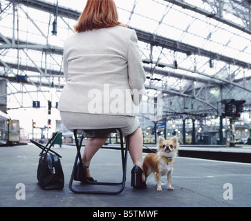 Il colore di una immagine a colori di un sovrappeso donna seduta su una piega fuori sgabello in una stazione ferroviaria con la sua chihuahua cane giocattolo Foto Stock