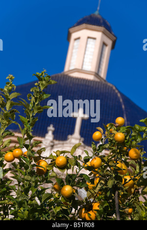 Arancione della frutticoltura nella parte anteriore di piastrelle blu cupola del Museo delle Belle Arti o il Museo de Bellas Artes di Valencia Spagna Foto Stock