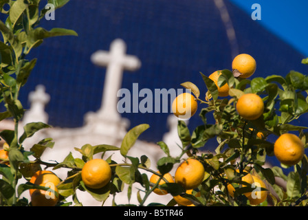 Arancione della frutticoltura nella parte anteriore di piastrelle blu cupola del Museo delle Belle Arti o il Museo de Bellas Artes di Valencia Spagna Foto Stock