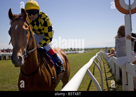 La razza Jersey Club Les Landes Race Course Jersey ,le Isole del Canale della Manica UK Regno Unito GB Gran Bretagna Foto Stock