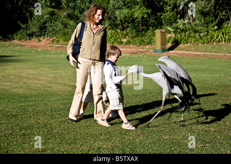 Giardini di Cascades Hotel qui un incontro ravvicinato con un grande cicogna Foto Stock
