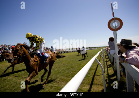 La razza Jersey Club Les Landes Race Course Jersey ,le Isole del Canale della Manica UK Regno Unito GB Gran Bretagna Foto Stock