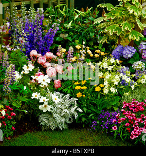 Colorati misti confine Foto Stock