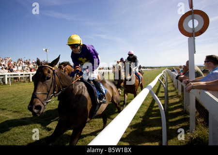 La razza Jersey Club Les Landes Race Course Jersey ,le Isole del Canale della Manica UK Regno Unito GB Gran Bretagna Foto Stock