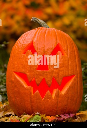 ARLINGTON VIRGINIA USA scolpiti zucca jack o lanterna per Halloween holiday Foto Stock