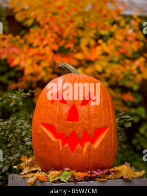 ARLINGTON VIRGINIA USA scolpiti zucca jack o lanterna per Halloween holiday Foto Stock