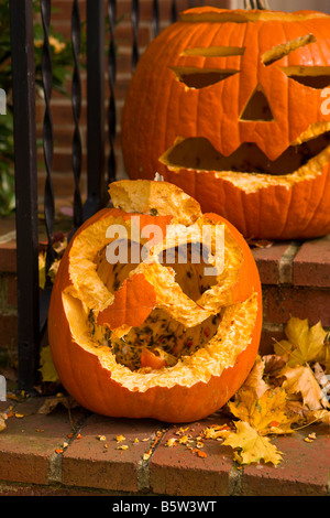 ARLINGTON VIRGINIA USA scolpiti zucca jack o lantern eatan da scoiattoli Foto Stock