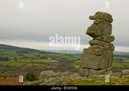 Naso Bowermans nel Parco Nazionale di Dartmoor Foto Stock