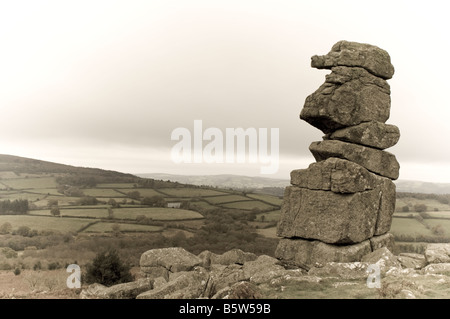 Naso Bowermans nel Parco Nazionale di Dartmoor Foto Stock