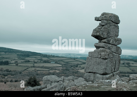 Naso Bowermans nel Parco Nazionale di Dartmoor Foto Stock