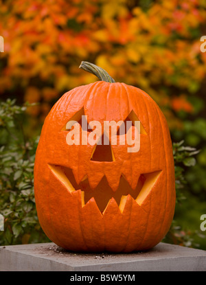 ARLINGTON VIRGINIA USA scolpiti zucca jack o lanterna per Halloween holiday Foto Stock