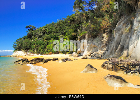 Arenile, il Parco Nazionale Abel Tasman, Tasmansee, Nelson, regione di South Island, in Nuova Zelanda, Febbraio 2007 Foto Stock