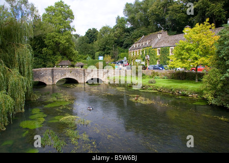 Flusso di trote nel villaggio di Bibury Gloucestershire in Inghilterra Foto Stock