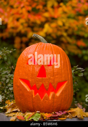 ARLINGTON VIRGINIA USA scolpiti zucca jack o lanterna per Halloween holiday Foto Stock