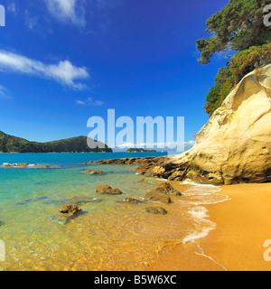 Parco Nazionale di Abel Tasman, Tasmansee, Nelson, regione di South Island, in Nuova Zelanda, Febbraio 2007 Foto Stock