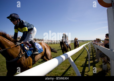 La razza Jersey Club Les Landes Race Course Jersey ,le Isole del Canale della Manica UK Regno Unito GB Gran Bretagna Foto Stock