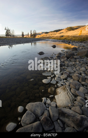 Fine giornata vista del fiume Lamar, il Parco Nazionale di Yellowstone; Wyoming; USA Foto Stock