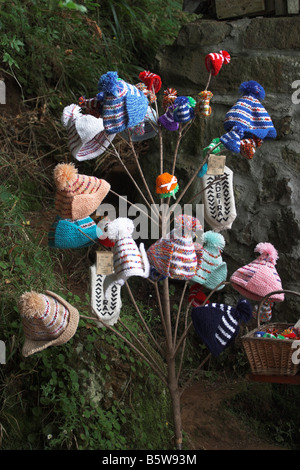 Cappelli lavorati a maglia in Madera e visualizzato per la vendita Foto Stock