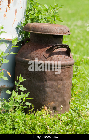 Vecchio arrugginito latte può fuori in erba Foto Stock