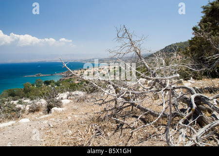 Seascape vista dalla collina nel parco vicino a bagno di Afrodite Cipro a secco con radici nella parte anteriore Foto Stock