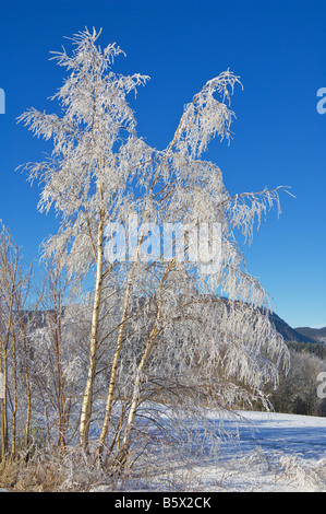 Struttura smerigliata nel paesaggio innevato Buskerud Norvegia Foto Stock