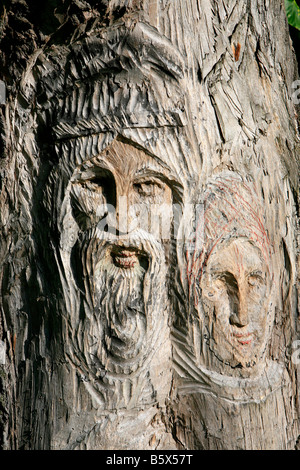 Albero scolpito nei giardini del Carskoe Selo Palace (il Palazzo di Caterina) in Pushkin (San Pietroburgo, Russia Foto Stock