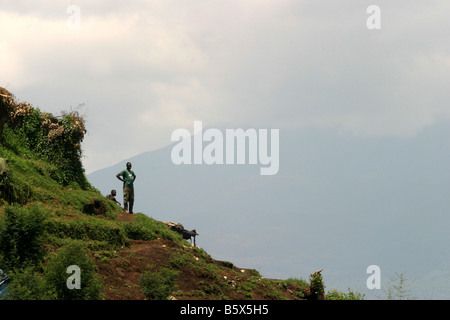 Il monte Karisimbi nel Parco Nazionale dei Vulcani Ruanda Foto Stock
