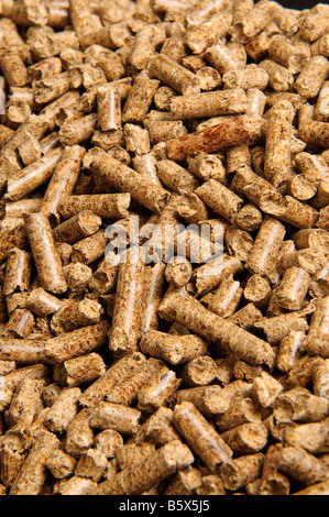 Pellet di legno, combustibile costituito da legno riciclato alternativa fonte di riscaldamento. Foto Stock