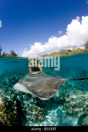 Snorkeler e il tahitiano trigoni (Himantura fai) Foto Stock