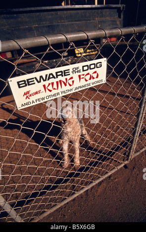 Attenzione del segno del cane, Australia Foto Stock