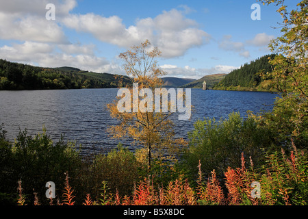 1307 Lake Vyrnwy Powys Wales UK Foto Stock